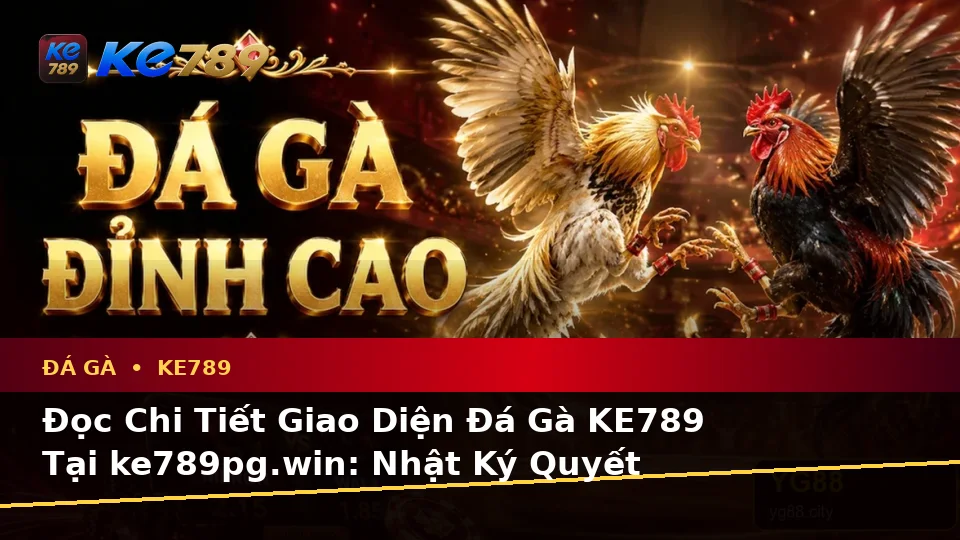 Đọc Chi Tiết Giao Diện Đá Gà KE789 Tại ke789pg.win: Nhật Ký Quyết Định Thực Tế Qua Đánh Giá Trải Nghiệm Di Động, Tốc Độ Và Khả Năng Đọc Thông Tin