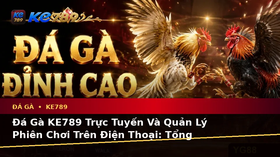 Đá Gà KE789 Trực Tuyến Và Quản Lý Phiên Chơi Trên Điện Thoại: Tổng Hợp Câu Hỏi Thực Tế Tại ke789pg.win