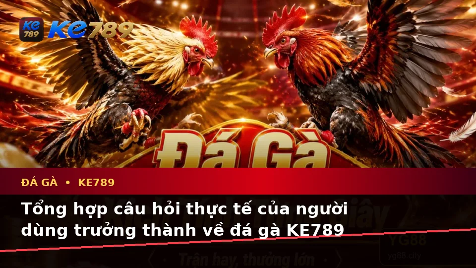 Đá Gà KE789 Trực Tuyến Và Quản Lý Phiên Chơi Trên Điện Thoại: Tổng Hợp Câu Hỏi Thực Tế Tại ke789pg.win