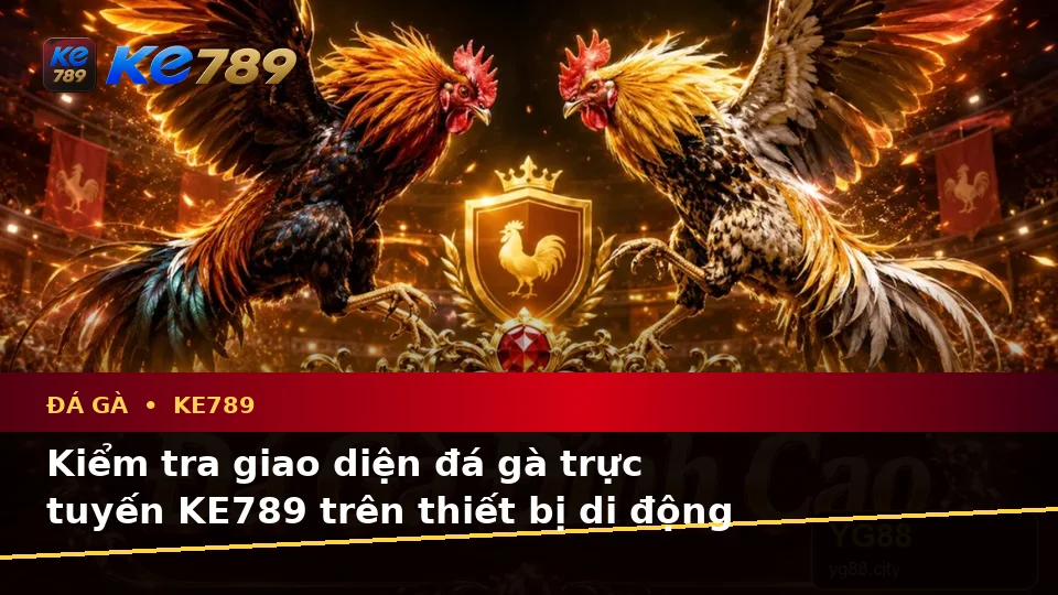 Hướng Dẫn Người Mới Kiểm Tra Giao Diện Đá Gà KE789 Trên Điện Thoại Và Quản Lý Phiên Chơi Tại ke789pg.win