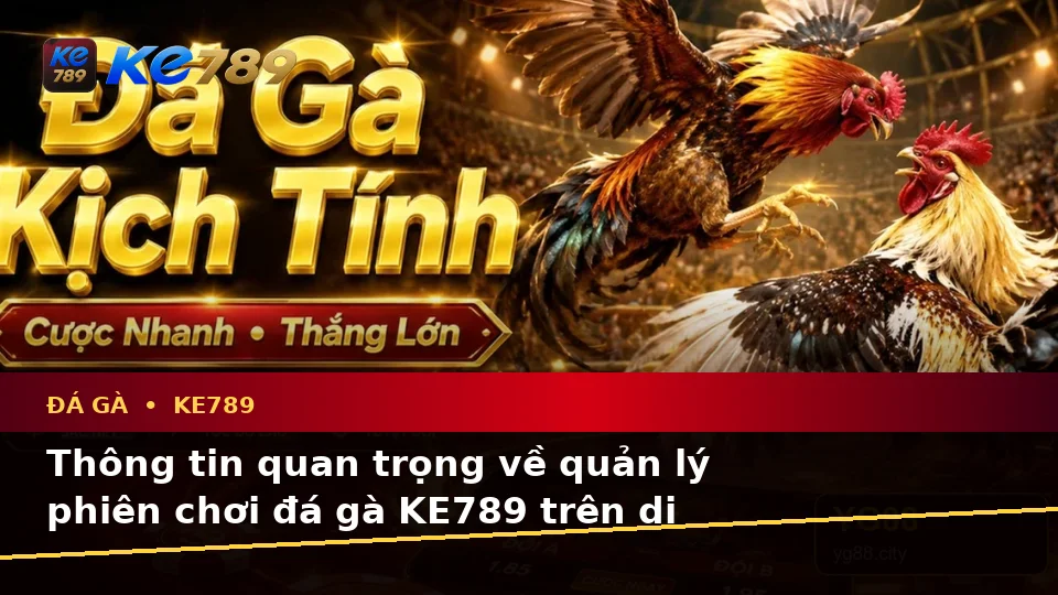 Hướng Dẫn Người Mới Kiểm Tra Giao Diện Đá Gà KE789 Trên Điện Thoại Và Quản Lý Phiên Chơi Tại ke789pg.win