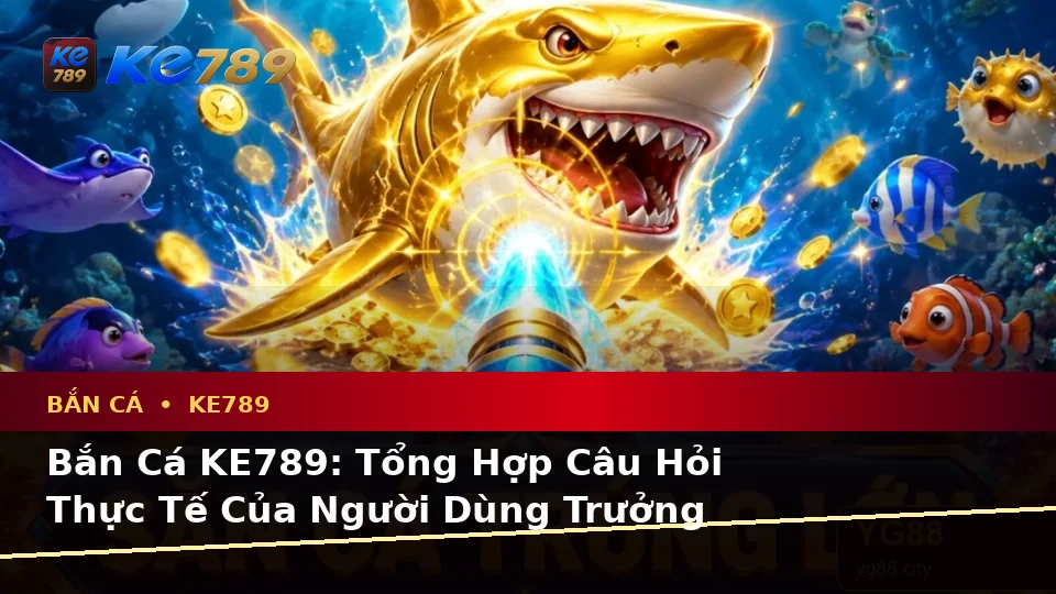 Bắn Cá KE789: Tổng Hợp Câu Hỏi Thực Tế Của Người Dùng Trưởng Thành Về Săn Thưởng Trên Di Động Tại ke789pg.win