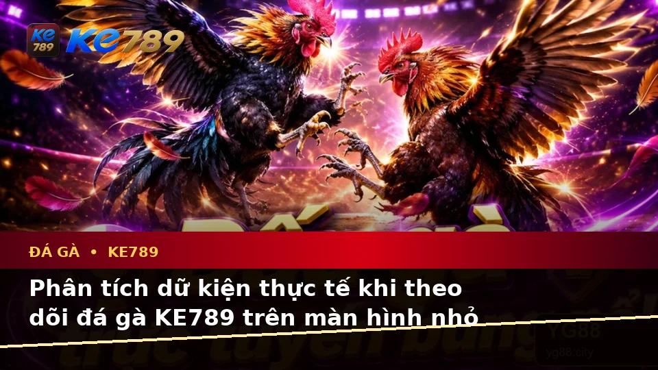 Đá Gà KE789 Tại ke789pg.win: Phân Tích Dữ Kiện, Rủi Ro Và Giới Hạn Ngân Sách Khi Quản Lý Phiên Chơi Trên Di Động