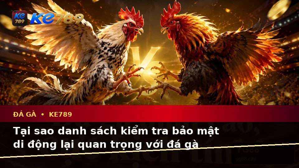 Danh Sách Kiểm Tra Bảo Mật Di Động Cho Đá Gà KE789: Quản Lý Phiên Chơi An Toàn Tại ke789pg.win
