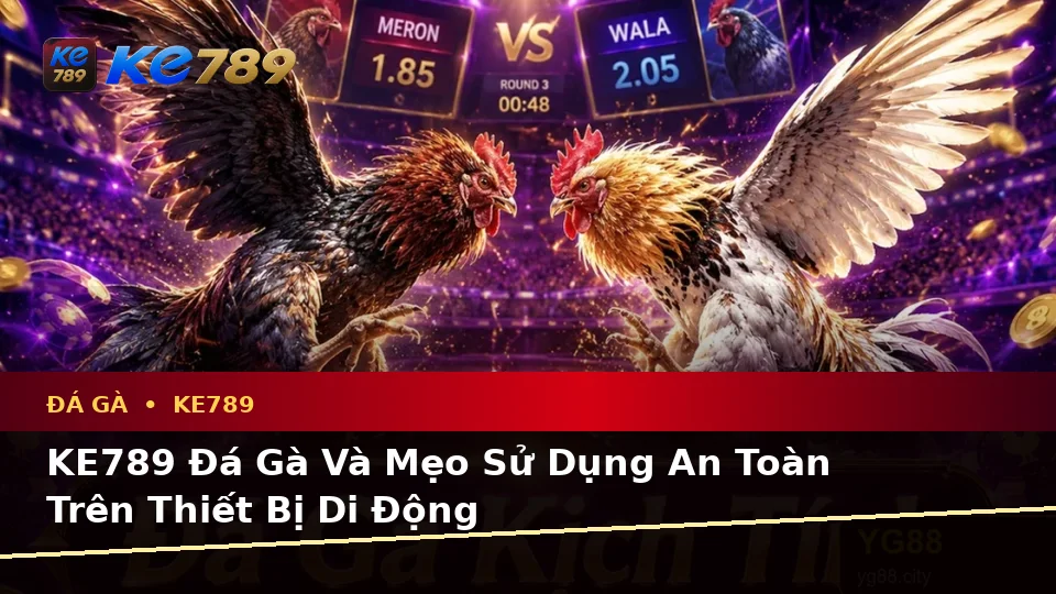 KE789 Đá Gà Và Mẹo Sử Dụng An Toàn Trên Thiết Bị Di Động