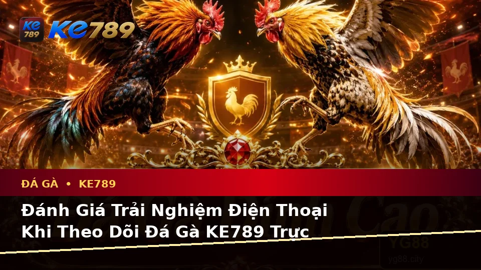 Đánh Giá Trải Nghiệm Điện Thoại Khi Theo Dõi Đá Gà KE789 Trực Tuyến Và Quản Lý Phiên Chơi Tại ke789pg.win