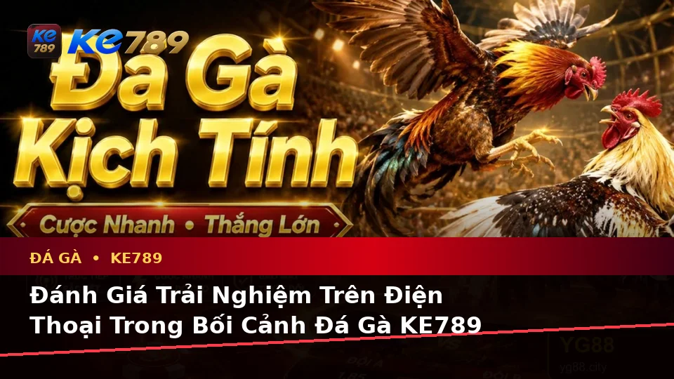 Đánh Giá Trải Nghiệm Điện Thoại Khi Theo Dõi Đá Gà KE789 Trực Tuyến Và Quản Lý Phiên Chơi Tại ke789pg.win
