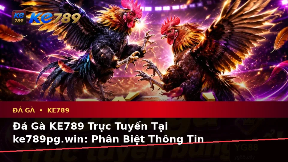 Đá Gà KE789 Trực Tuyến Tại ke789pg.win: Phân Biệt Thông Tin Xác Thực, Quảng Cáo Và Kỳ Vọng Thực Tế Trên Thiết Bị Di Động