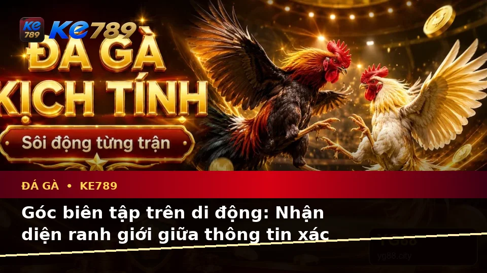 Đá Gà KE789 Trực Tuyến Tại ke789pg.win: Phân Biệt Thông Tin Xác Thực, Quảng Cáo Và Kỳ Vọng Thực Tế Trên Thiết Bị Di Động