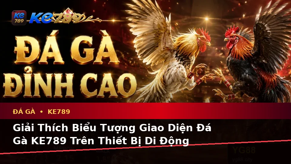 Giải Thích Biểu Tượng, Tính Năng Và Quy Trình Đá Gà KE789 Trên Điện Thoại Tại ke789pg.win