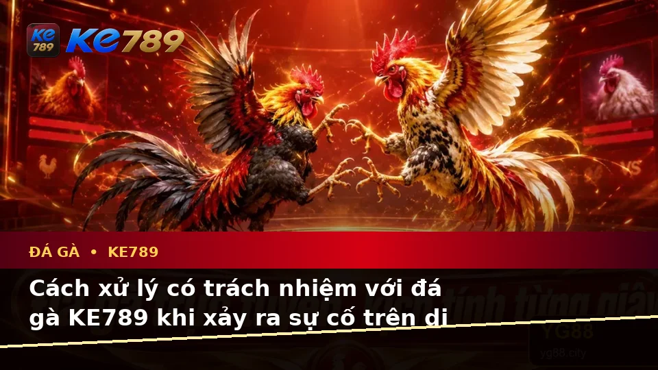 Đá Gà KE789 Tại ke789pg.win: Nhận Diện Lỗi Phổ Biến Và Cách Xử Lý Có Trách Nhiệm Trên Thiết Bị Di Động