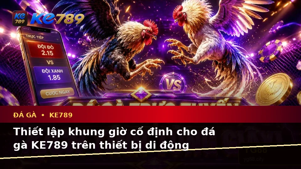 Đá Gà KE789 Trên ke789pg.win: Lập Kế Hoạch Thời Gian, Ngân Sách Và Lịch Sử Sử Dụng Cho Đá Gà Trực Tuyến Trên Di Động