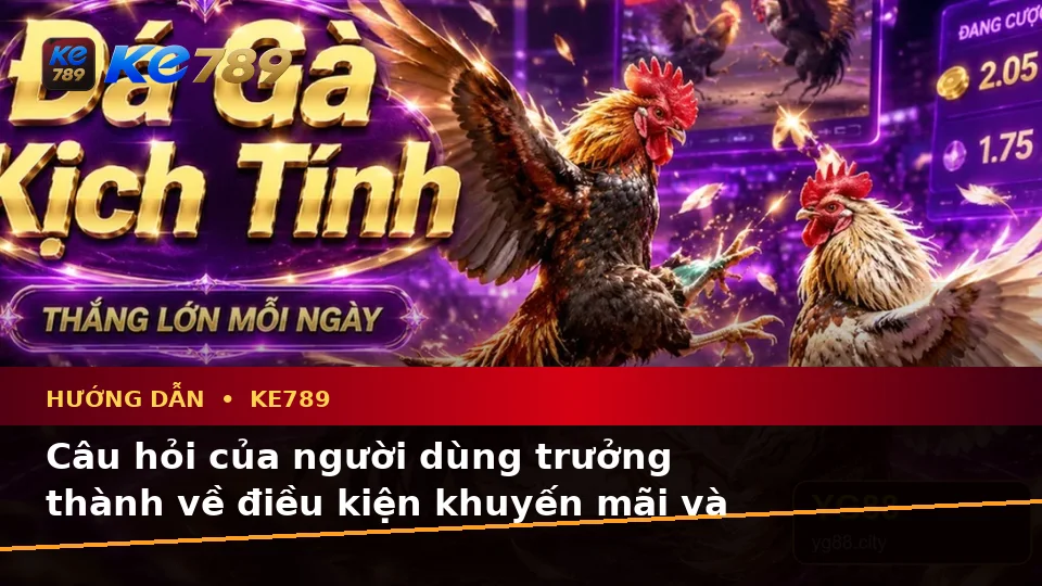 Tổng Hợp Câu Hỏi Thực Tế Của Người Dùng Trưởng Thành Về Hướng Dẫn KE789 Trên Thiết Bị Di Động: Tin Mới, Ưu Đãi Và Điều Kiện Khuyến Mãi Tại ke789pg.win